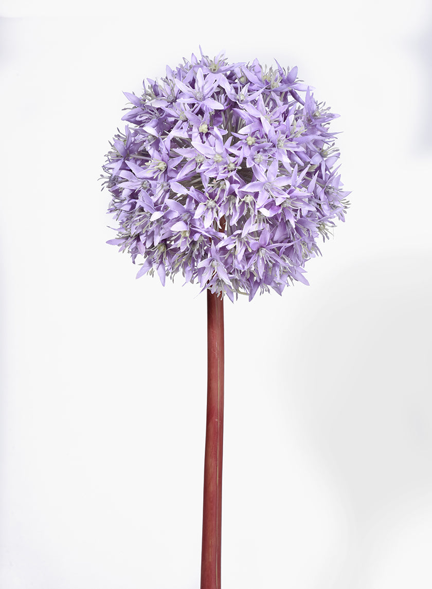 35in Light Purple Allium Decor Jamali Garden