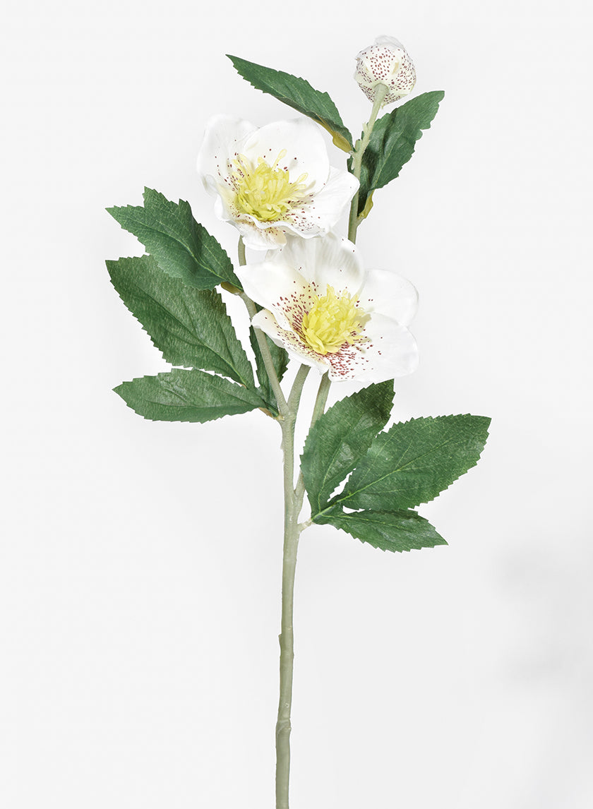 22in Long White Hellebores Spray, Case of 12 Decor Jamali Garden