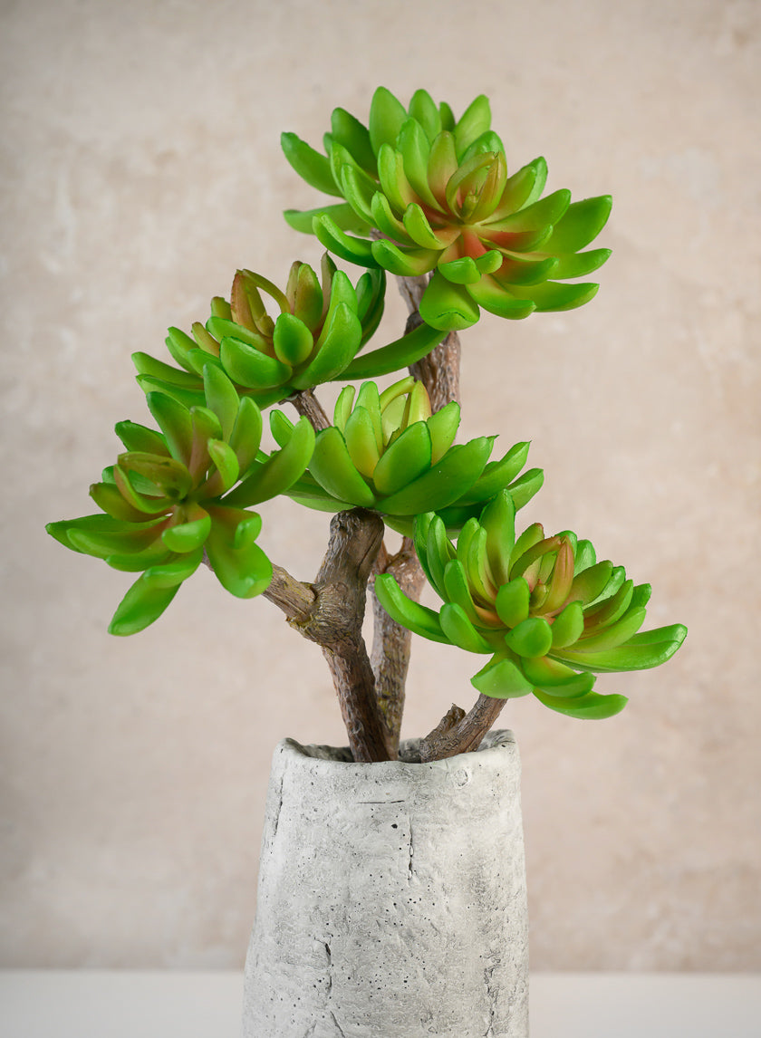 12in Long Three Head Echeveria Spray, Case of 12 Decor Jamali Garden