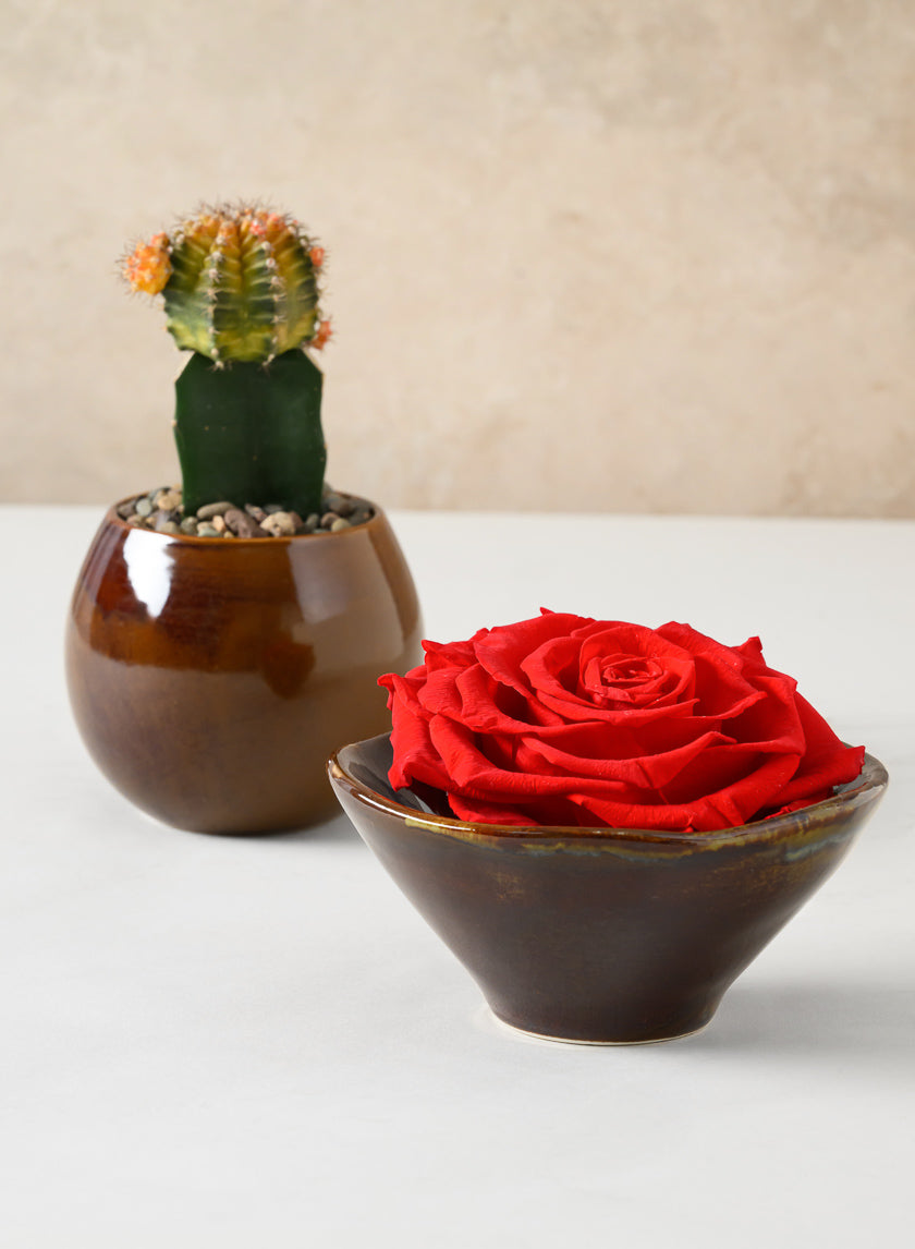 3.25in Tall Guan Oxblood Mini Ceramic Pots, Set of 2 Decor Jamali Garden