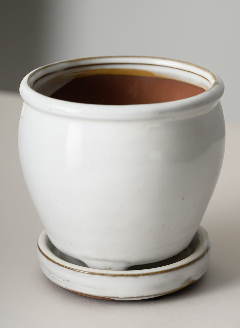 5in Tall Ming Cloud White Ceramic Pot with Saucer Decor Jamali Garden