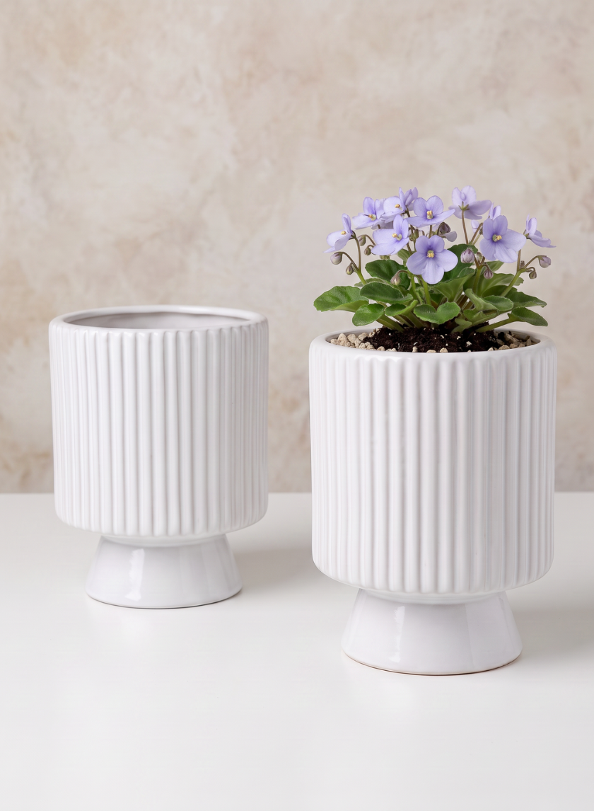Florist Choice White Cachepot with Base