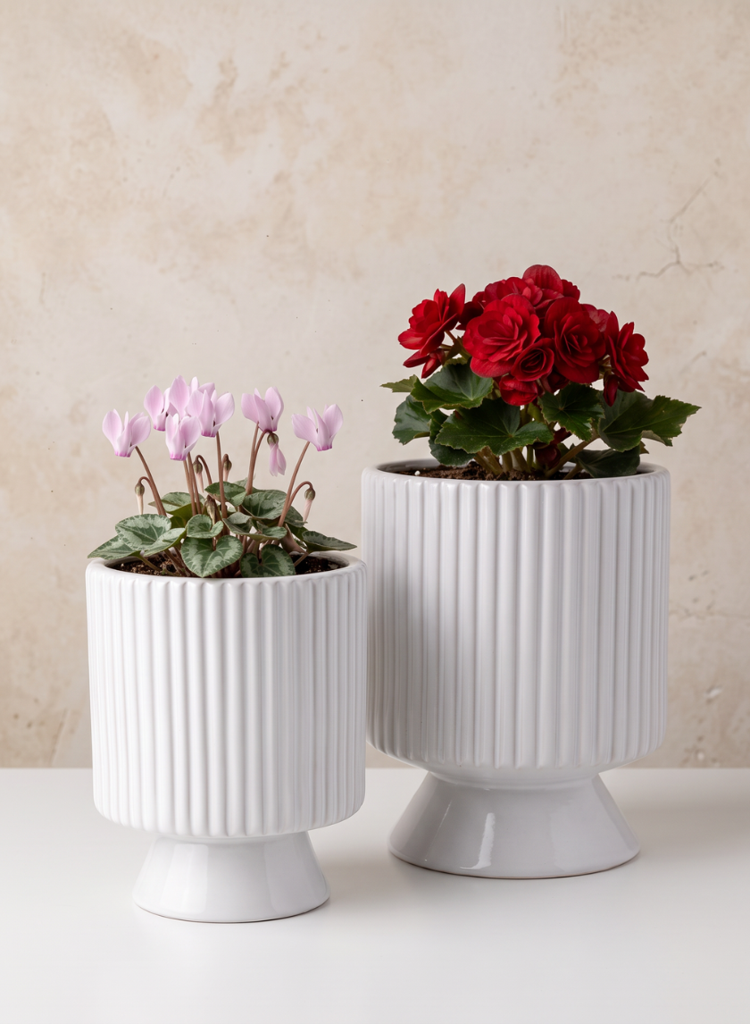 Florist Choice White Cachepot with Base