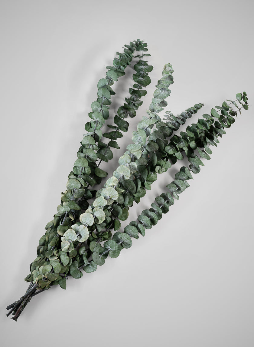 28in Long Preserved Baby Blue Eucalyptus Bunch Decor Jamali Garden