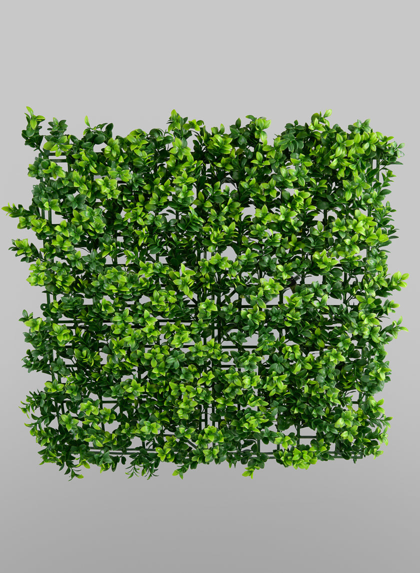 20in Square Mature Boxwood Mat (Indoor/Outdoor) Decor Jamali Garden