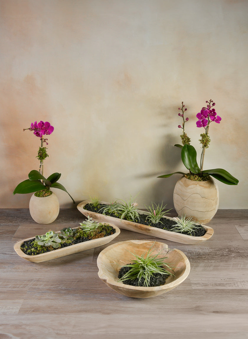12in Wide Makassar Teak Dish Wood Bowl Decor Jamali Garden