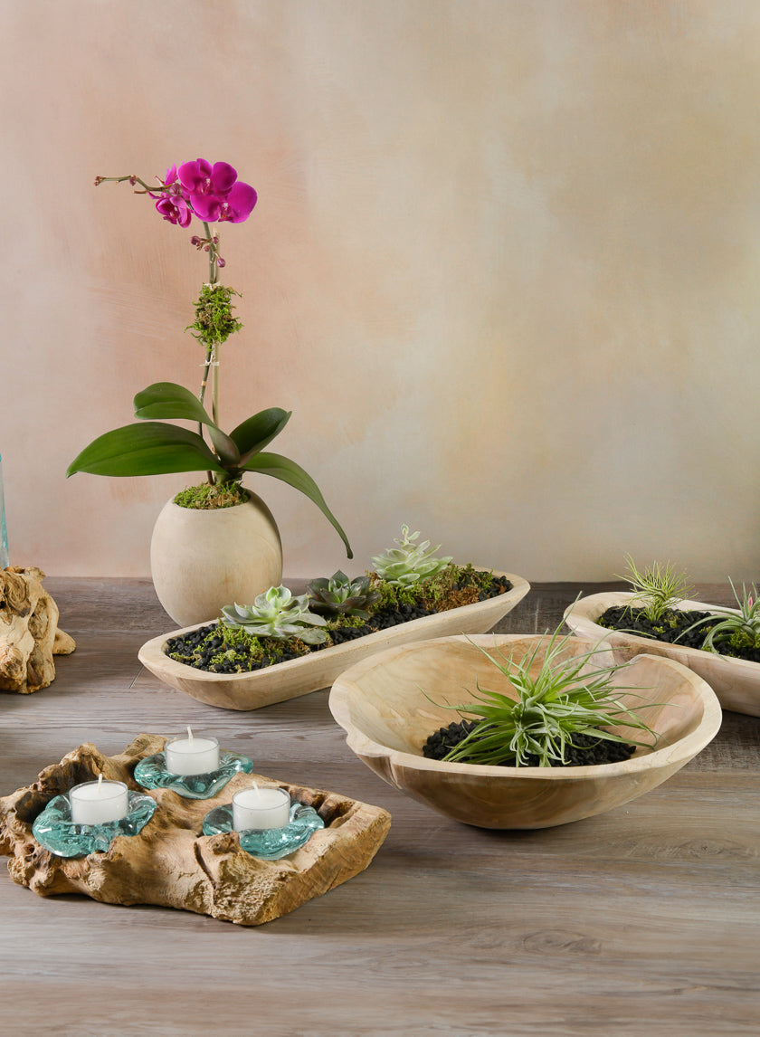12in Wide Makassar Teak Dish Wood Bowl Decor Jamali Garden