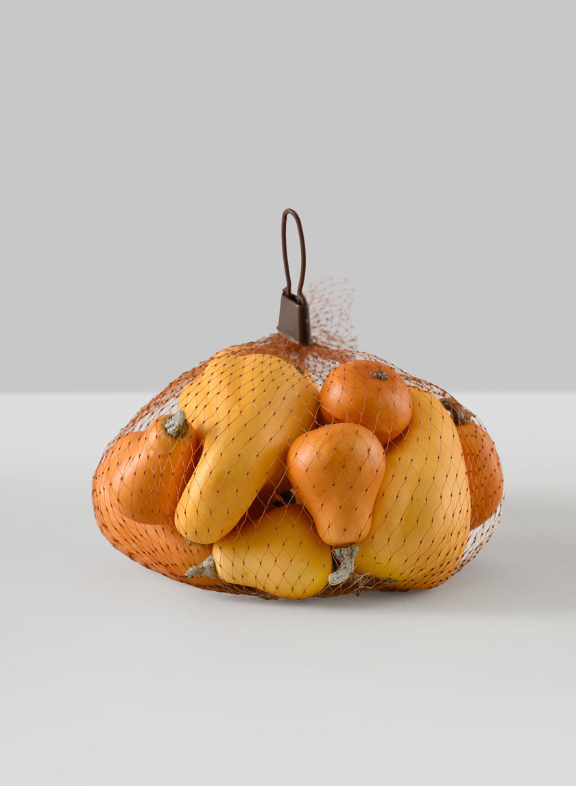 Illinois Fall Harvest Mini Gourds, Bag of 10 Decor Jamali Garden