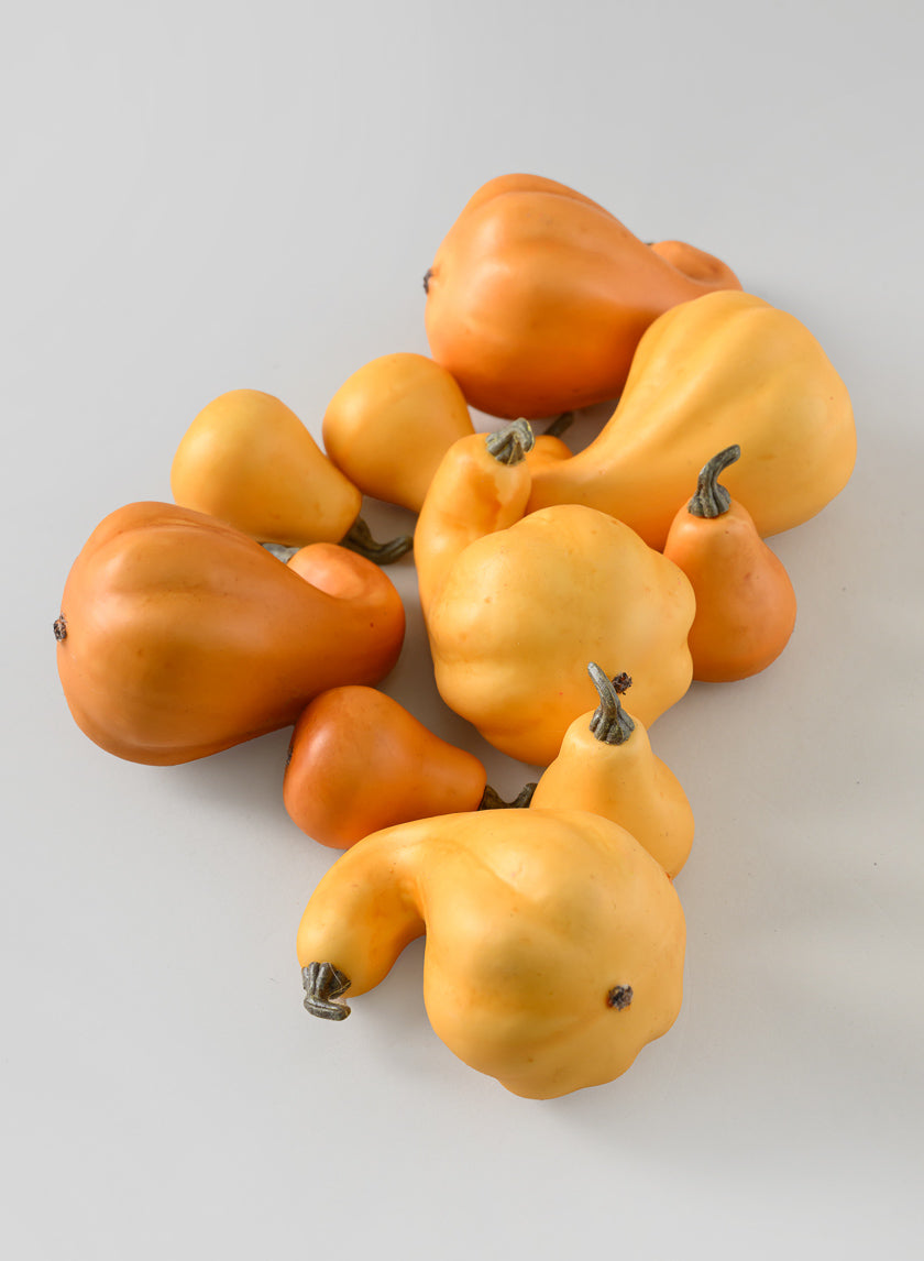 Illinois Fall Harvest Mini Gourds, Bag of 10 Decor Jamali Garden