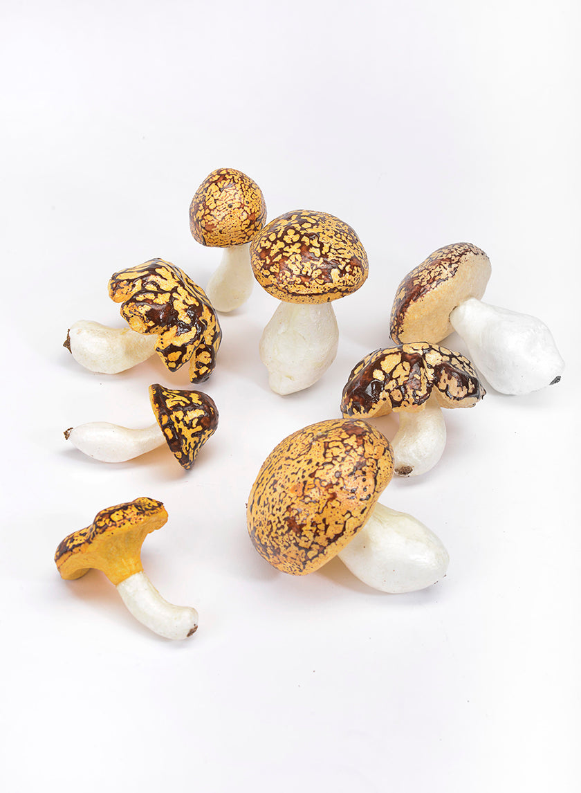 3-3.5in Long Assorted Mushrooms, Set of 10 Decor Jamali Garden