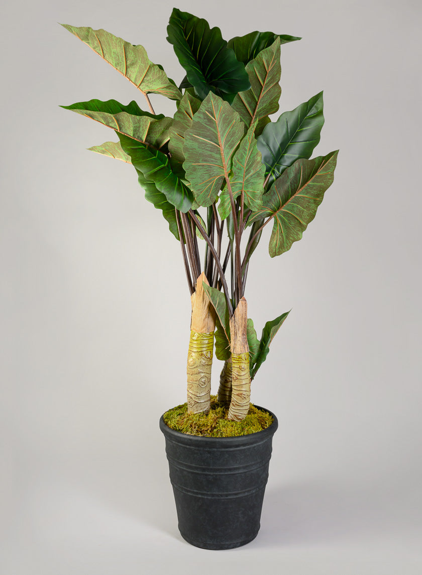 Manhattan Black Light Weight PVC Rolled Rim Planter Decor Jamali Garden