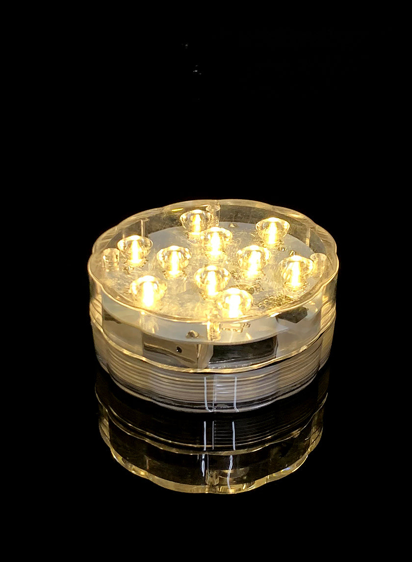 Submersible Warm White LED Light With Remote, Set of 2 Decor Jamali Garden