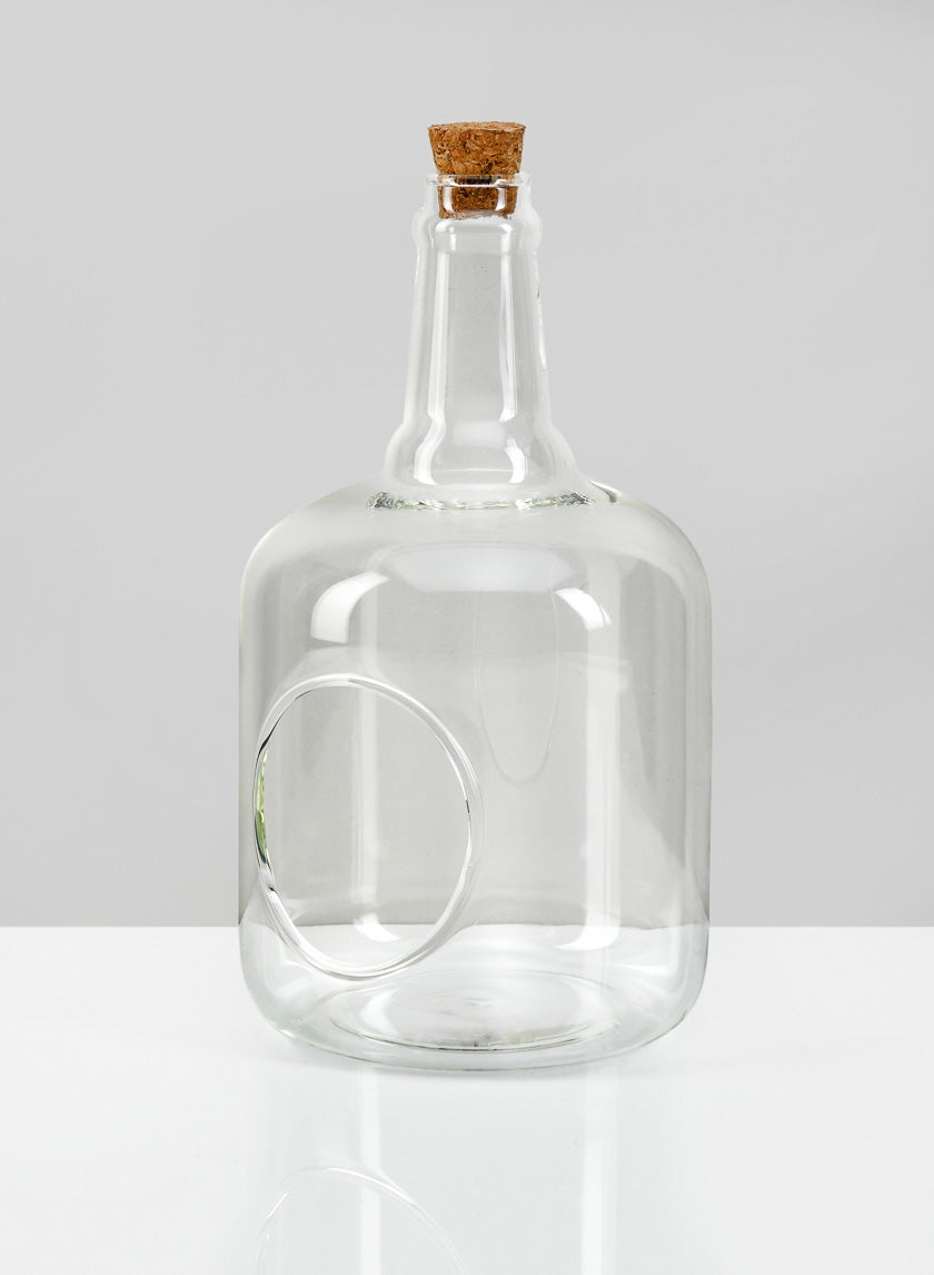 7.5in Tall Rio Bottle Glass Terrarium, Small Decor Jamali Garden
