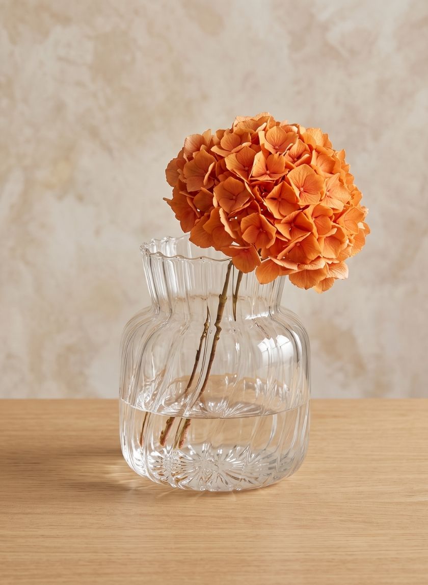 5.5in Tall Opla Jar Glass Vase Decor Jamali Garden