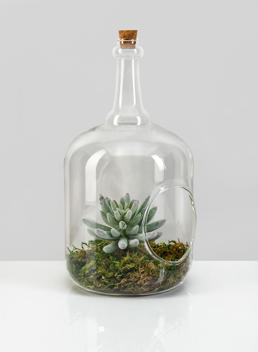 10.75in Tall Rio Bottle Glass Terrarium, Large Decor Jamali Garden