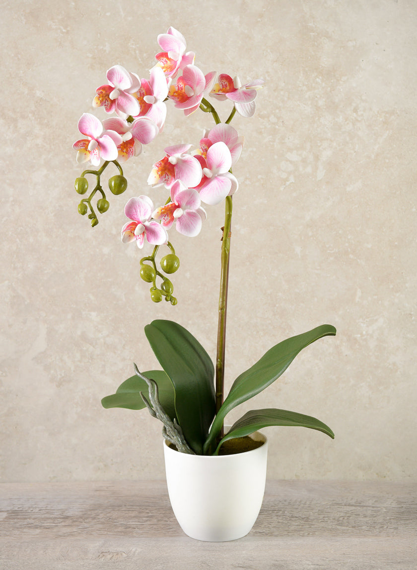 16in Tall Pink Phalaenopsis Orchid Potted Plant, Case of 12 Decor Jamali Garden