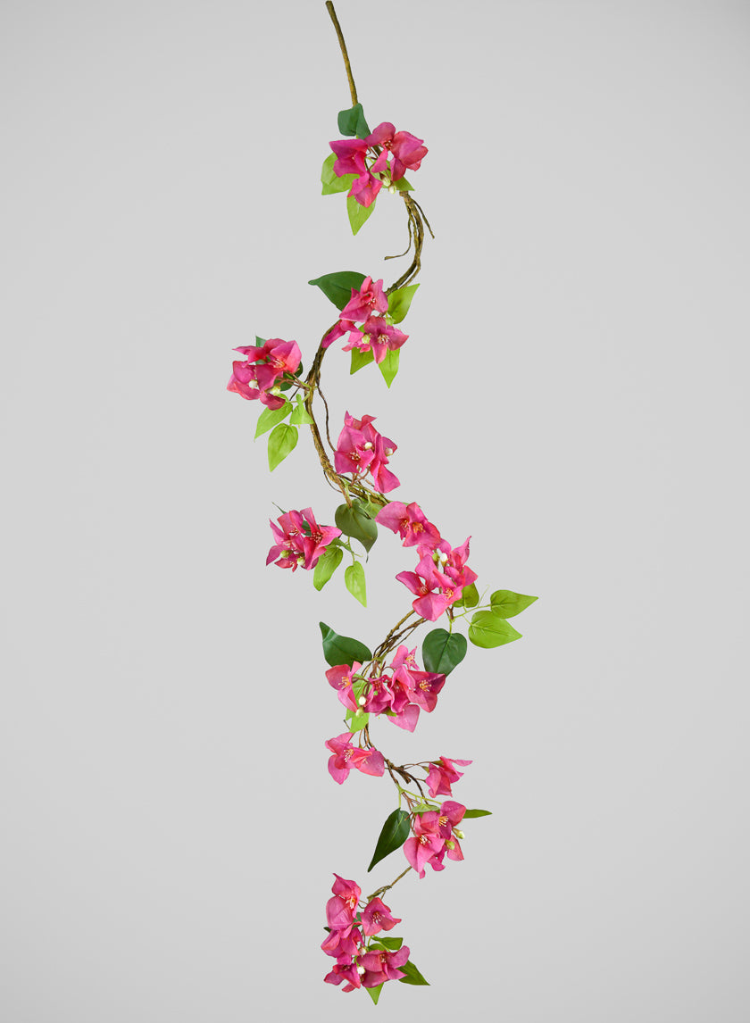 50in Long Fuchsia Bougainvillea Vine, Case of 6 Decor Jamali Garden