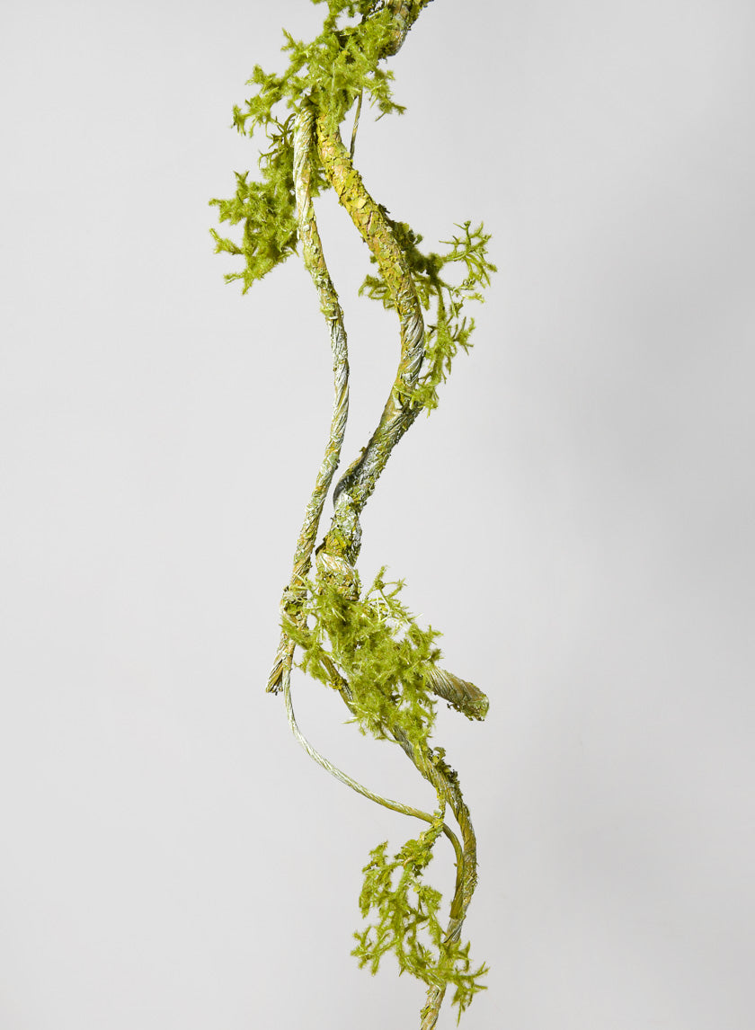35in Long Mossy Vine Branch, Case of 6 Decor Jamali Garden