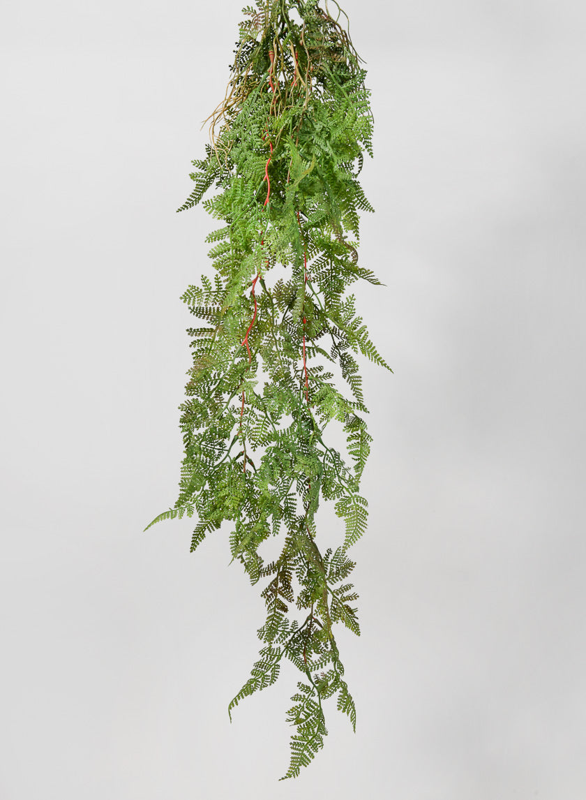 44in Long Rooted Rainforest Fern Hanging, Case of 12 Decor Jamali Garden