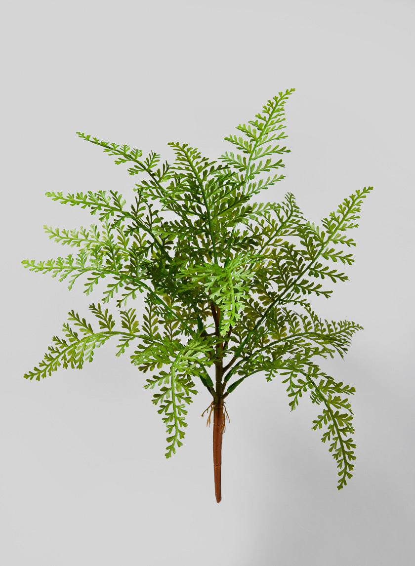 17in Long Fern Pick, Case of 12 Decor Jamali Garden