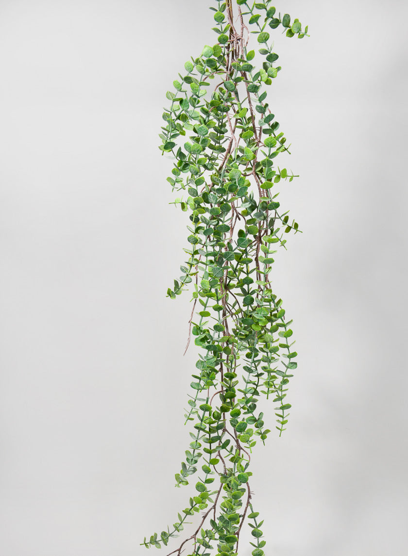 55in Long Woody Eucalyptus Garland, Case of 6 Decor Jamali Garden