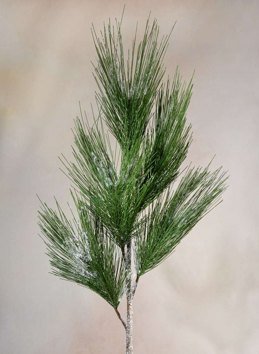 37in Long Dark Green Eastern White Pine Pick, Case of 12 Decor Jamali Garden