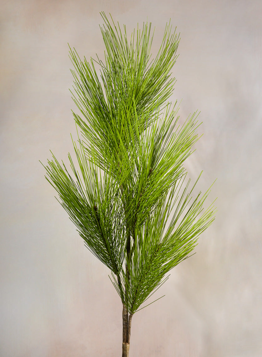 37in Long Light Green Eastern White Pine Pick, Case of 12 Decor Jamali Garden
