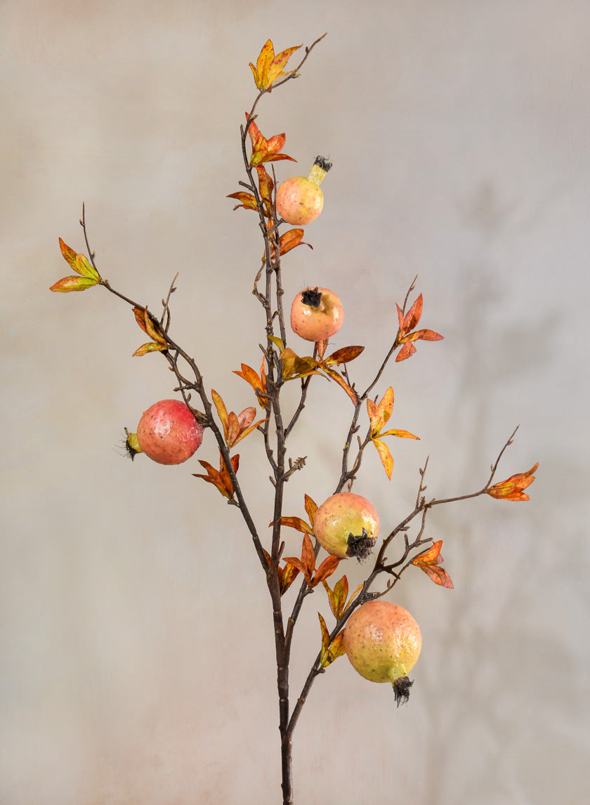 38in Long Early Fall Young Pomegranate Branch, Case of 12 Decor Jamali Garden