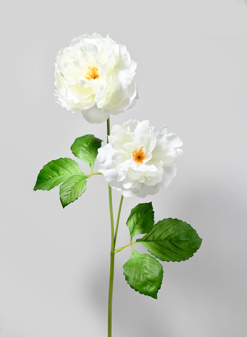 33in Long White Peony Spray, Case of 12 Decor Jamali Garden