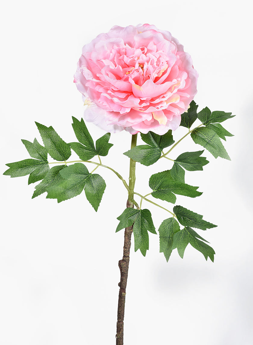 26in Long Pink Peony Stem, Case of 12 Decor Jamali Garden