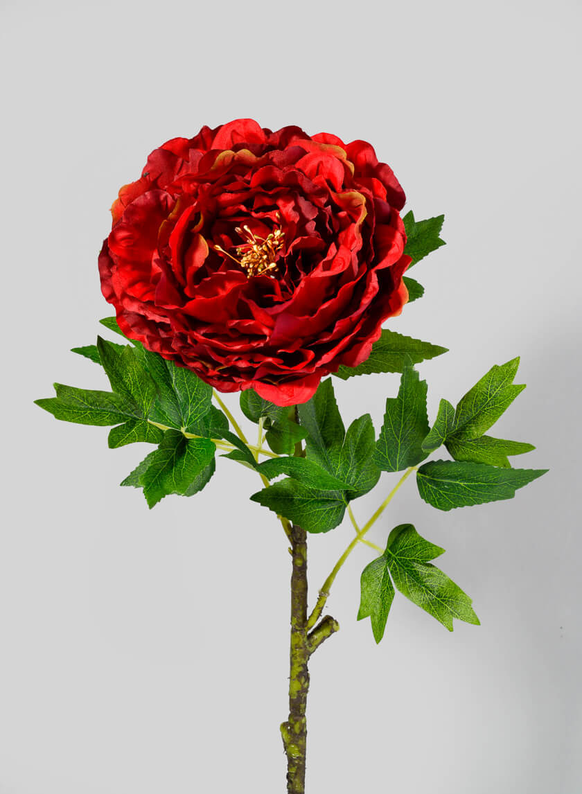 26in Long Red Charm Peony Stem, Case of 12 Decor Jamali Garden