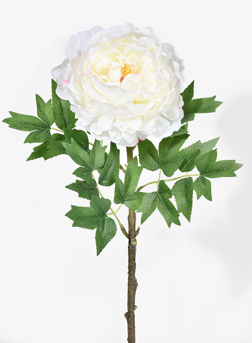 26in Long White Peony Stem, Case of 12 Decor Jamali Garden