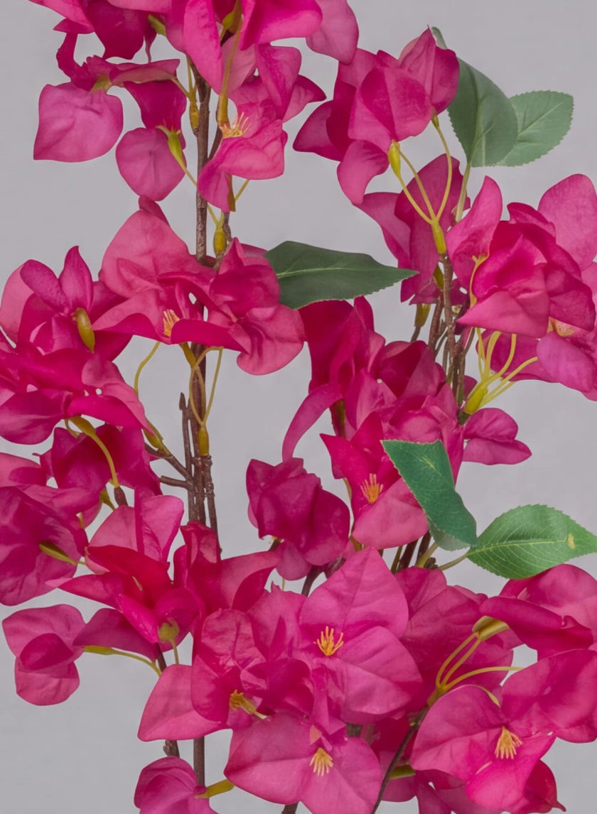 40in Plum Bougainvillea Pick