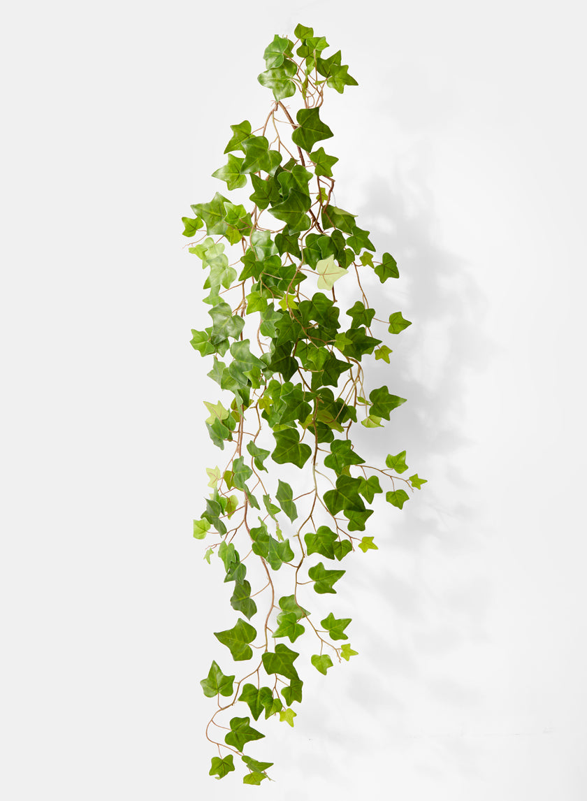 54in Long Ivy Hanging Bush, Case of 12 Decor Jamali Garden