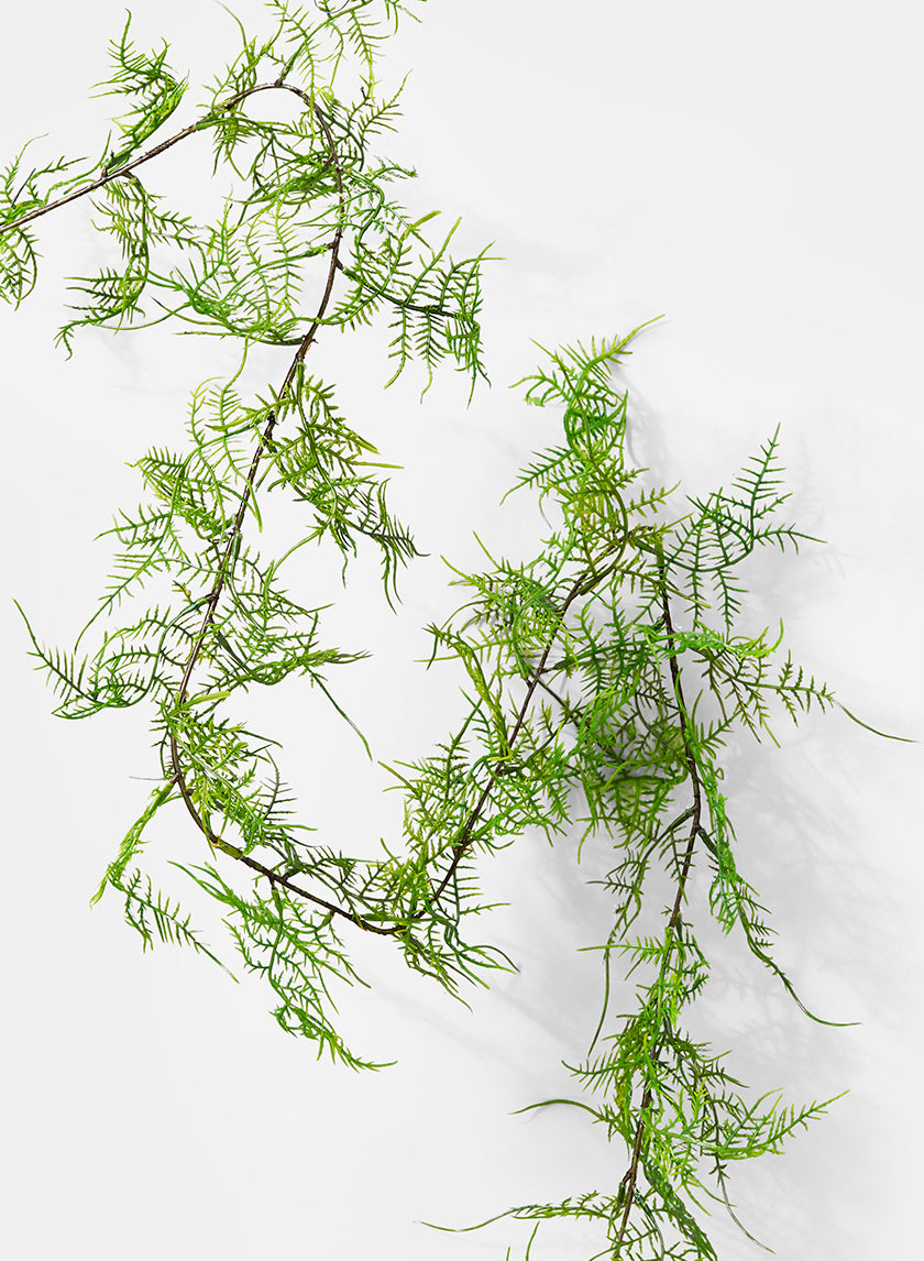 58in Long Asparagus Fern Garland, Case of 12 Decor Jamali Garden