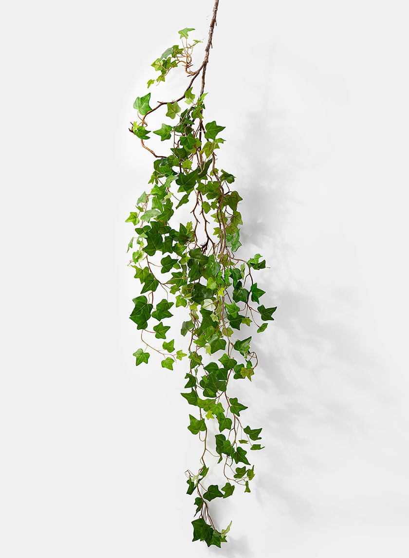 5ft Long Green Ivy Vine Decor Jamali Garden