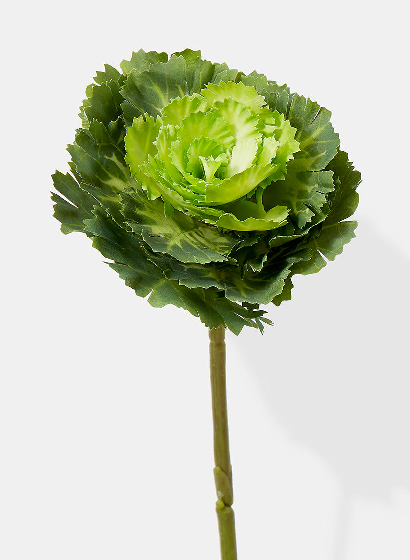 15in Long Green Ornamental Cabbage Pick Decor Jamali Garden