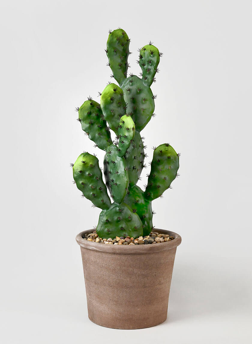 27in Long Prickly Pear Cactus Decor Jamali Garden