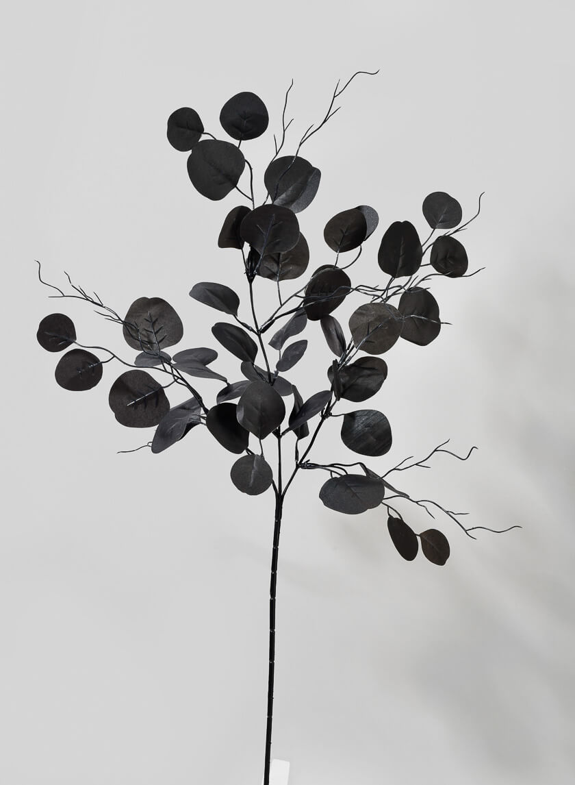 30in Long Black Eucalyptus Pick Decor Jamali Garden