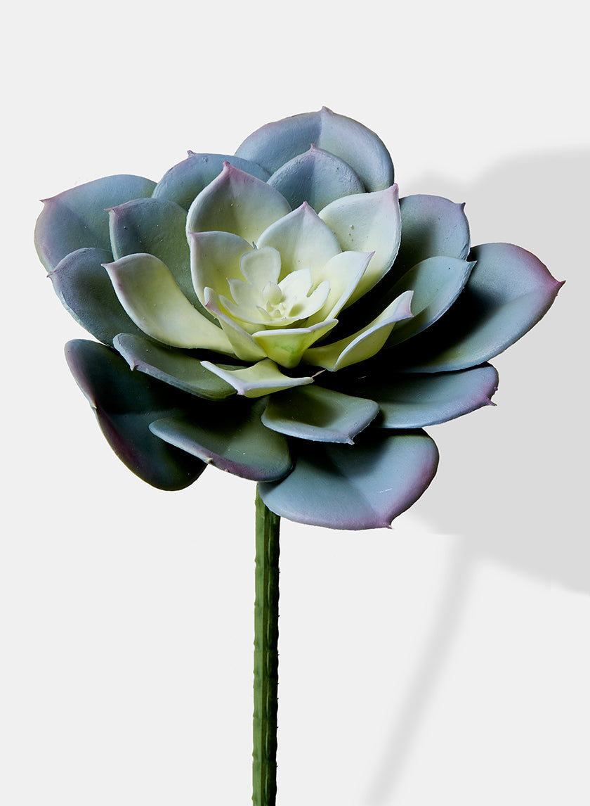 4in Long Blue Artificial Echeveria Pick, Case of 12 Decor Jamali Garden