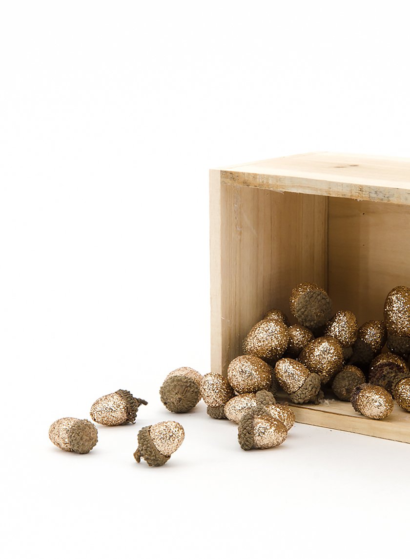 Champagne Glitter Acorns, Set of 30 Decor Jamali Garden