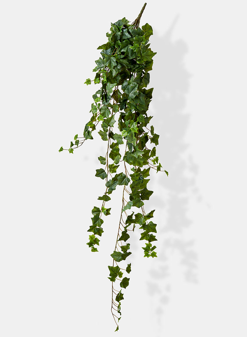 51in Long English Ivy Hanger, Case of 4 Decor Jamali Garden