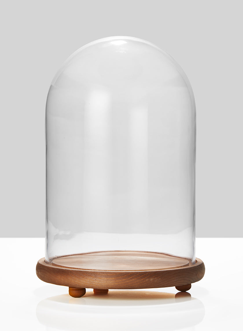 15in Tall Glass Cloche On Wood Base Decor Jamali Garden