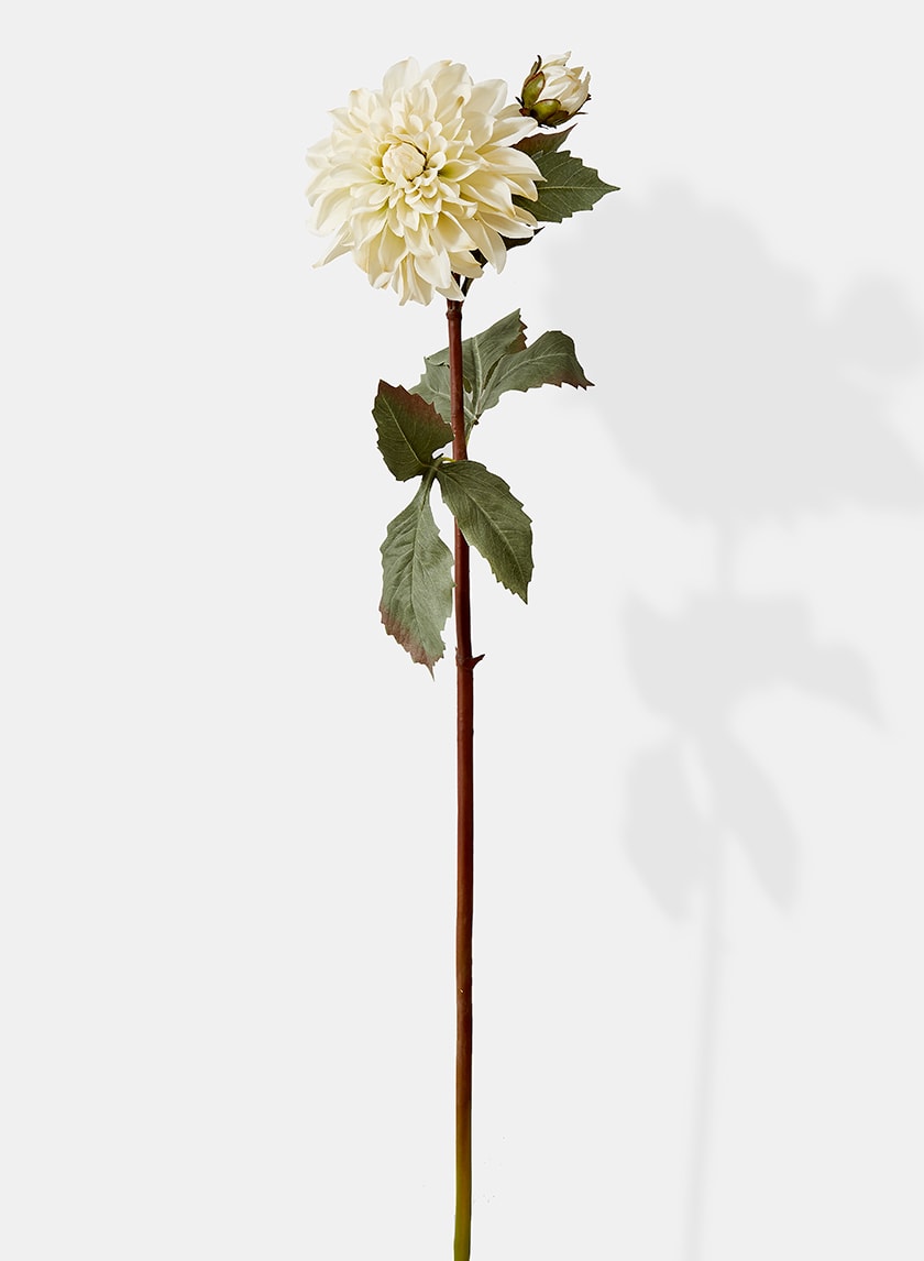 33in Long Cream Dahlia, Case of 12 Decor Jamali Garden