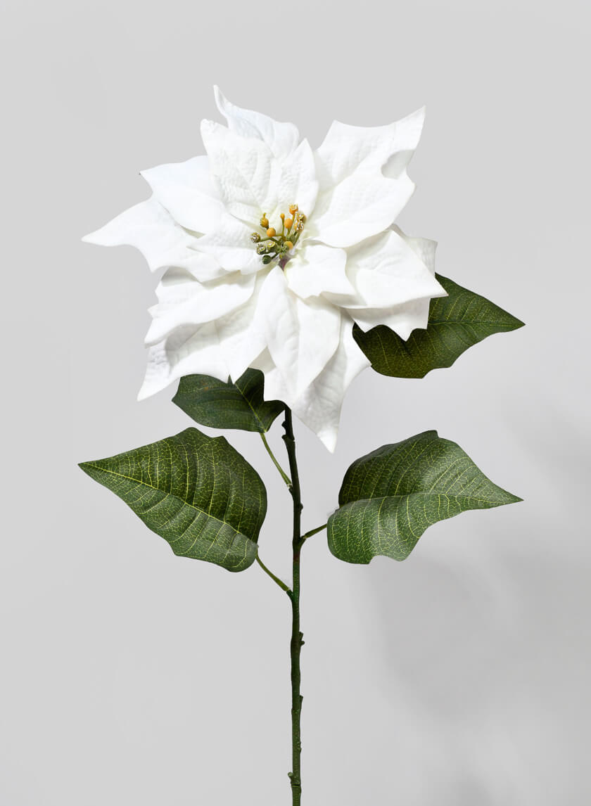 32in Long Cream Poinsettia Stem, Case of 12 Decor Jamali Garden