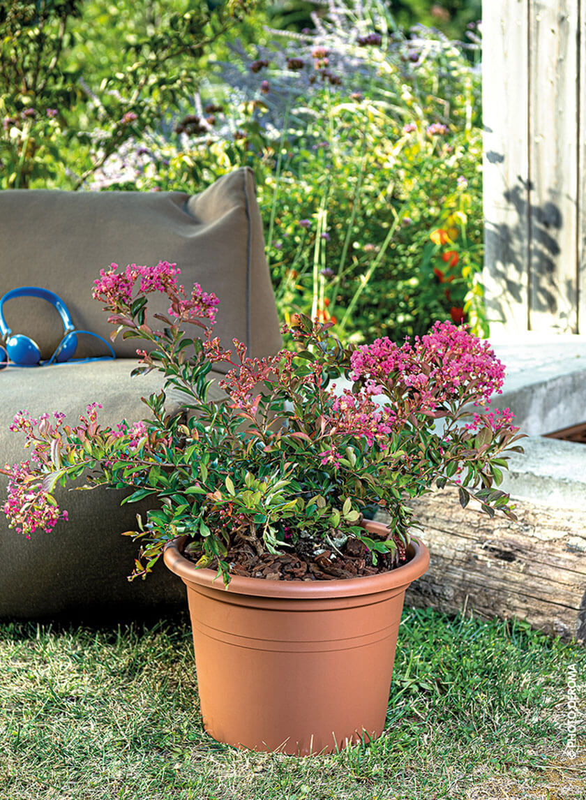 Farnese Terracotta Pots Decor Jamali Garden