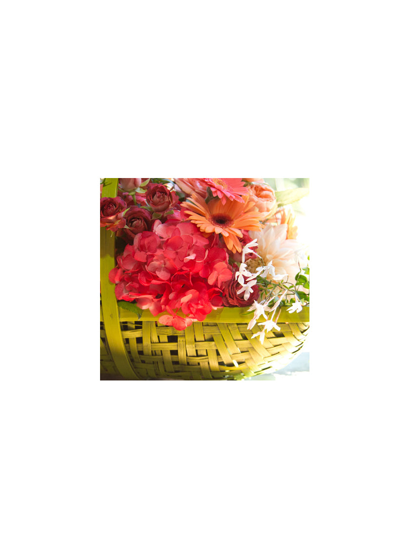 Coral Bright Spray Paint