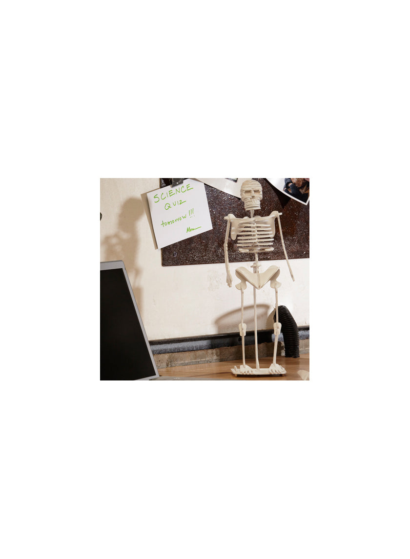 Flat White Spray Paint