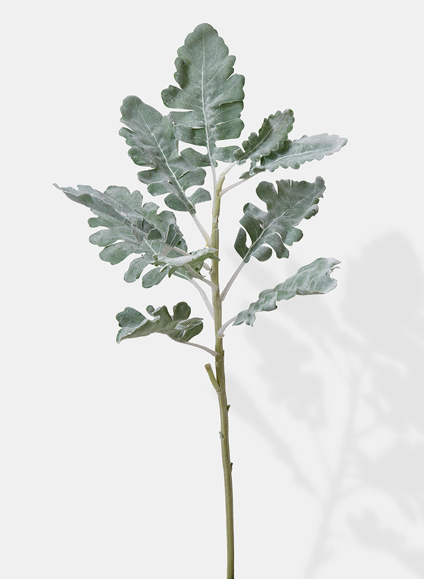 21in Long Dusty Miller Spray, Case of 12 Decor Jamali Garden