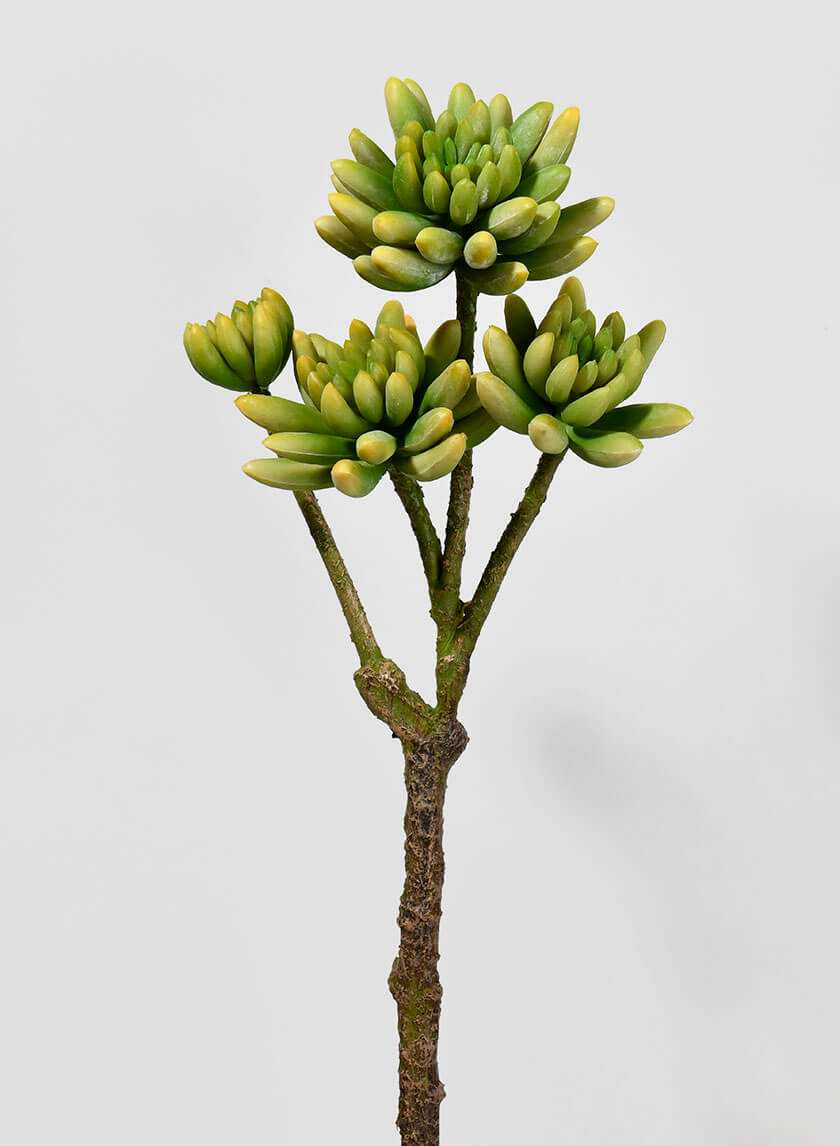 15in Long Finger Succulent Pick Decor Jamali Garden